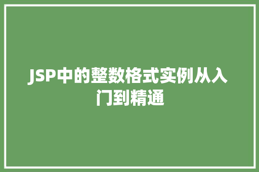 JSP中的整数格式实例从入门到精通